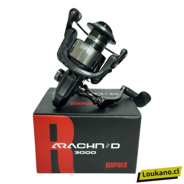 rapala arachnid